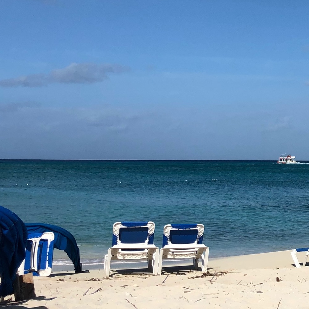 Meet your Posher, Catherine